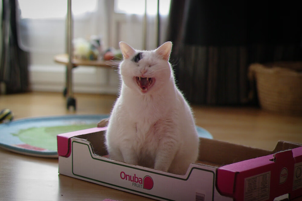 号召全民参与：电竞励志公益赛事纷纷上线，电竞全明星公益赛