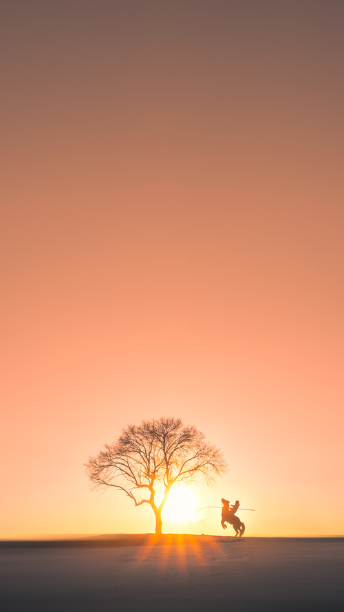 球队应援视频:最感人和爆笑的瞬间大盘点,篮球个人应援口号