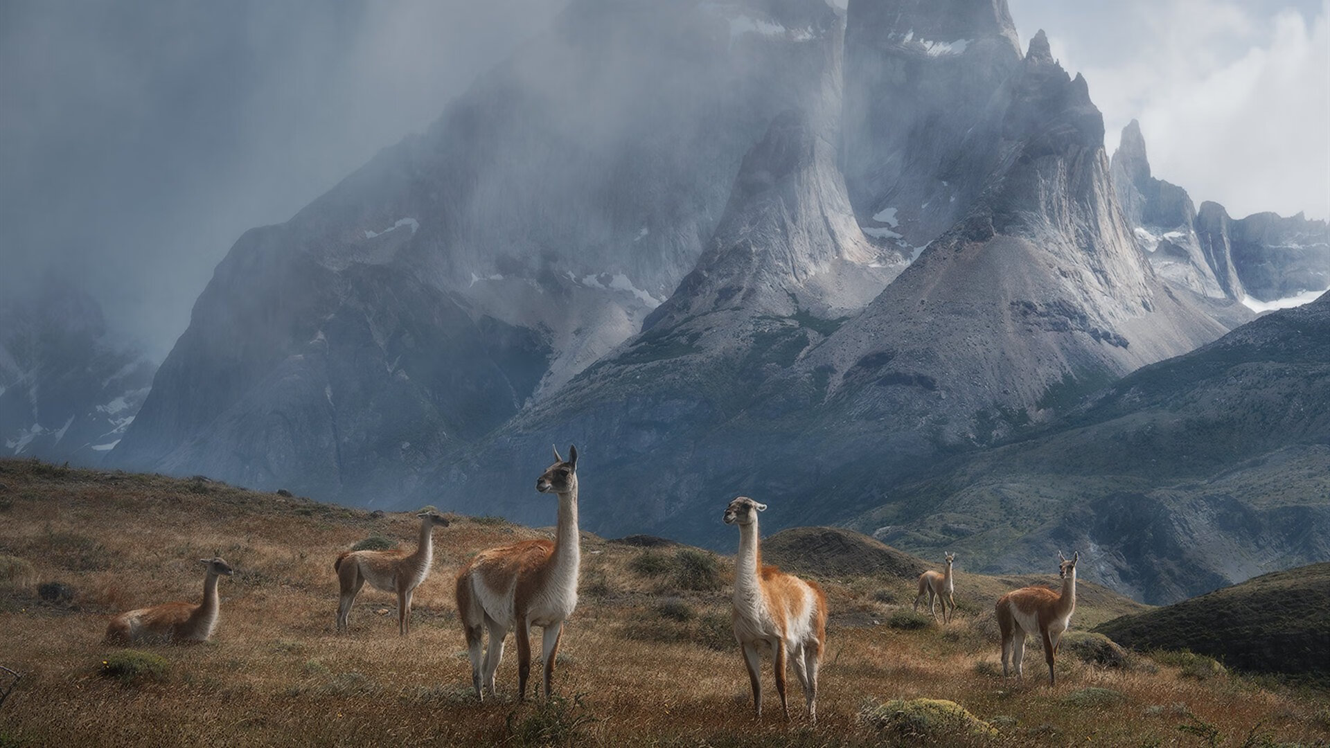 篮球校园联赛赛事体系规范化建设,校园篮球赛事策划方案