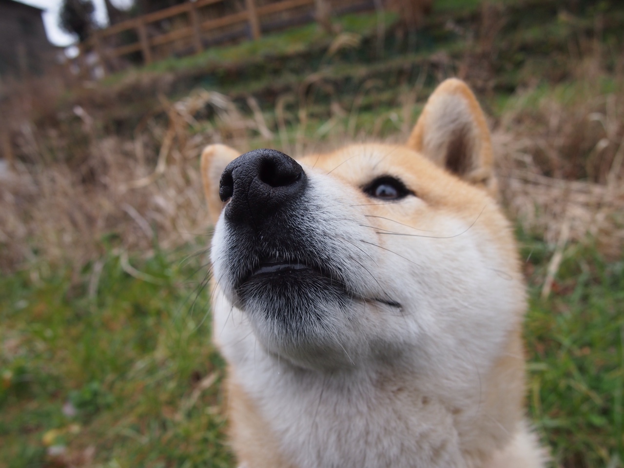 九游官网主页-费城76人恩比德连续多场拿下“30+”，引领东部争冠！，76人城市版球衣恩比德
