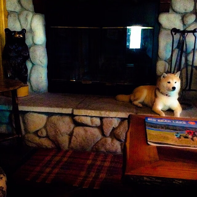 九游-西甲豪门纷纷调整战术，迎接新的挑战，西甲有哪些豪门球队