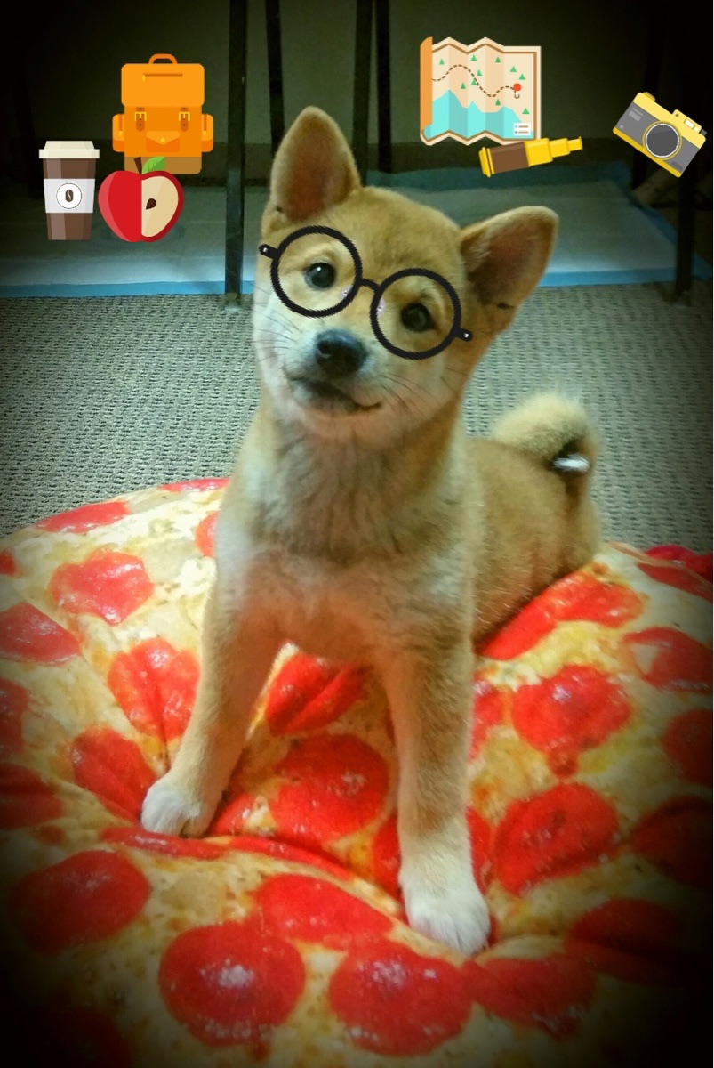 九游娱乐官网 (JIUYOU)-克雷三分连线，勇士篮球霸业再现辉煌，勇士克里斯集锦