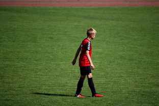 九游下载中心-世界青年滑板锦标赛中国少年夺奖，青少年滑板联赛