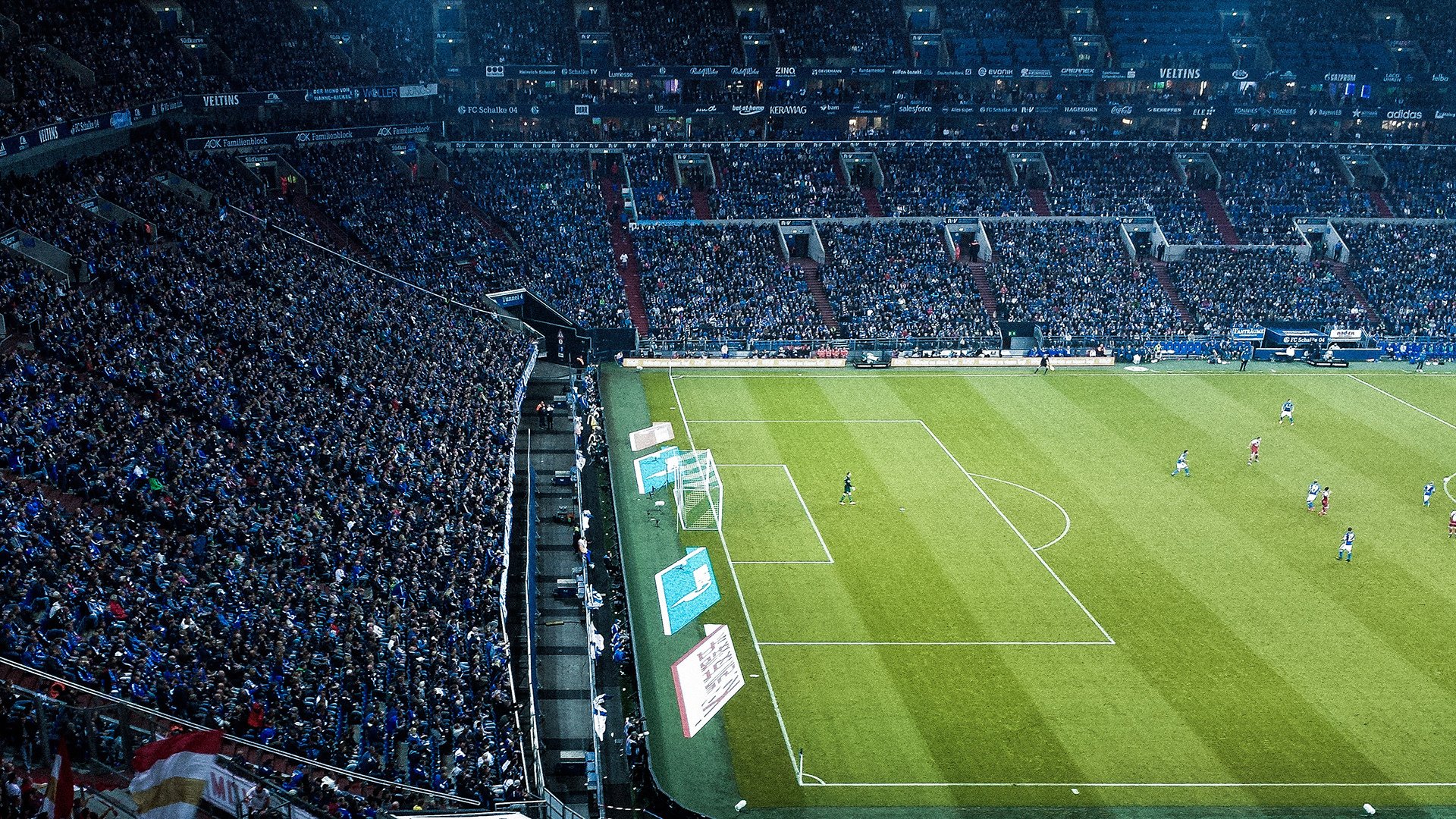 美国队赛制解析：如何通过团体赛制提升整体战术水平，美国参赛队伍